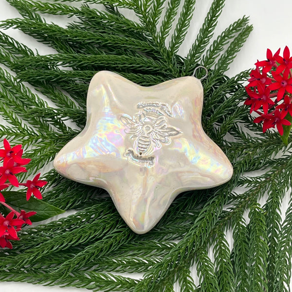 O5 Rainbow Luster Star Flowers Ornament FREE U.S. SHIPPING on Orders over $200.00